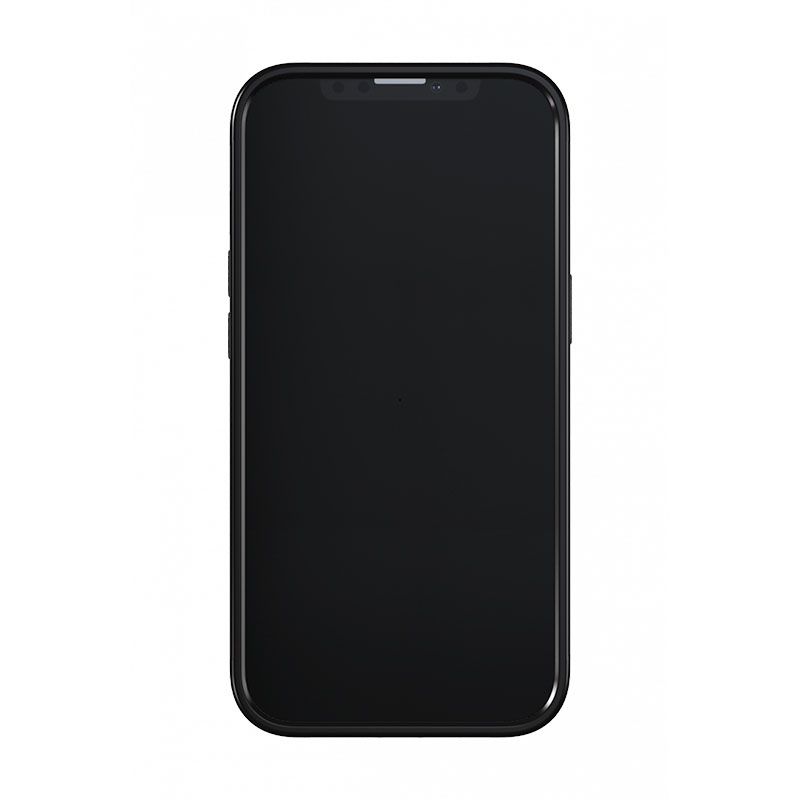 Richmond & Finch kryt Soft Leopard pre iPhone 13 Pro - Gold Details