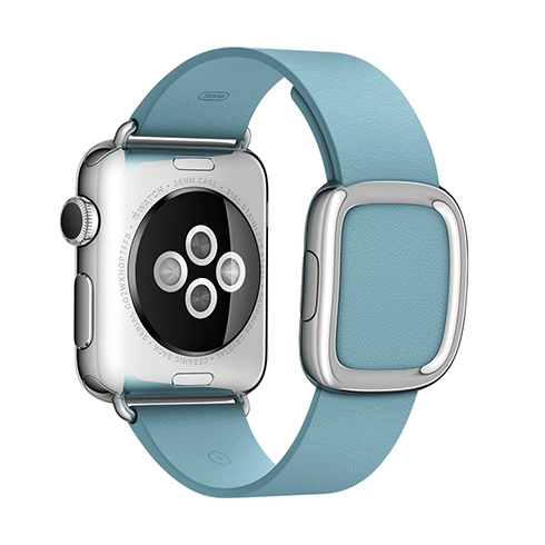 Apple Watch 38mm Blue Jay Modern Buckle - velký