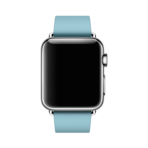 Apple Watch 38mm Blue Jay Modern Buckle - velký