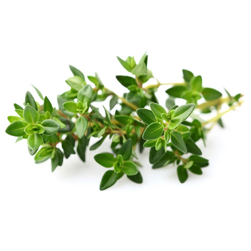 Click And Grow Tymián