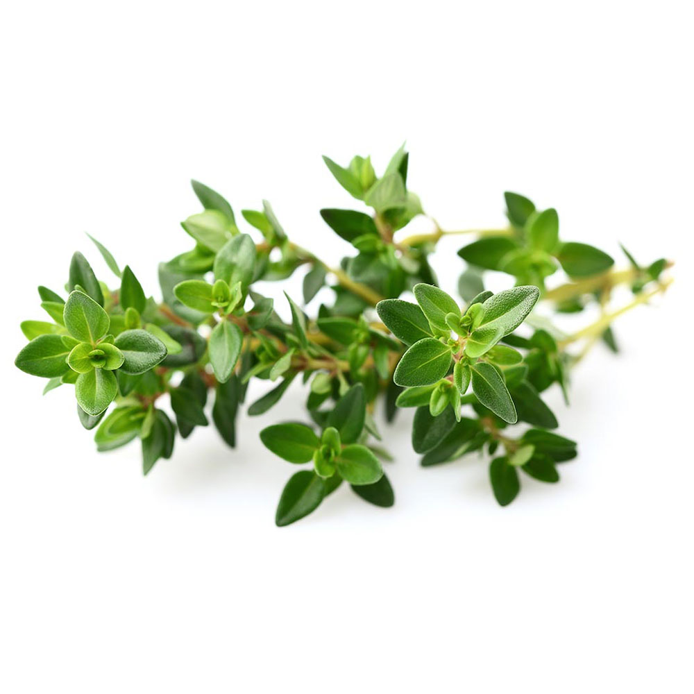 Click And Grow Tymián