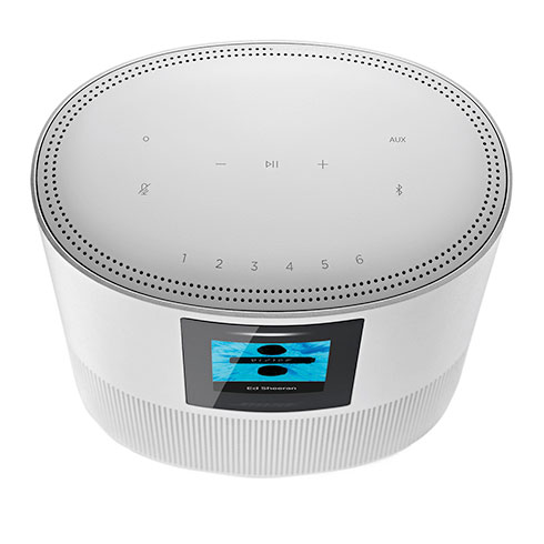 Bose HomeSpeaker 500 Silver reproduktor