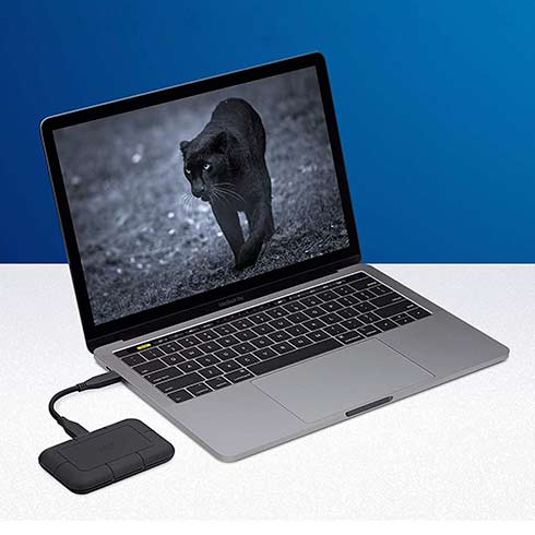 LaCie SSD 1TB Rugged Pro Thunderbolt 3 - Black