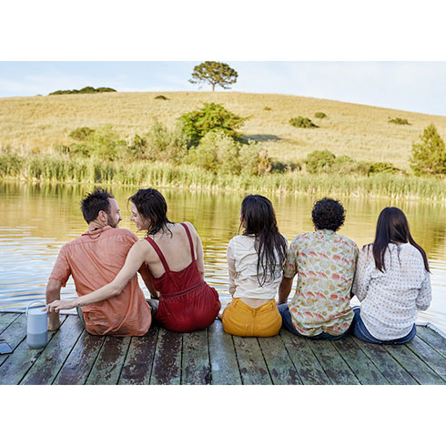 Bose HomeSpeaker Portable Silver reproduktor