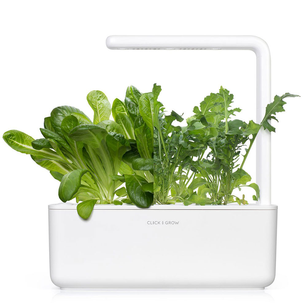 Smart Garden Mix zelených šalátov  3-pack