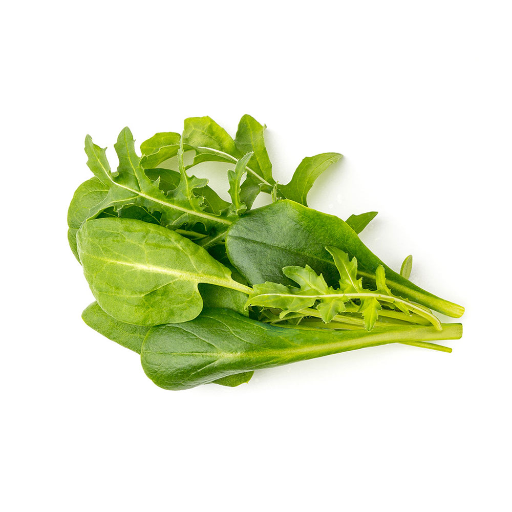 Smart Garden Mix zelených šalátov  3-pack