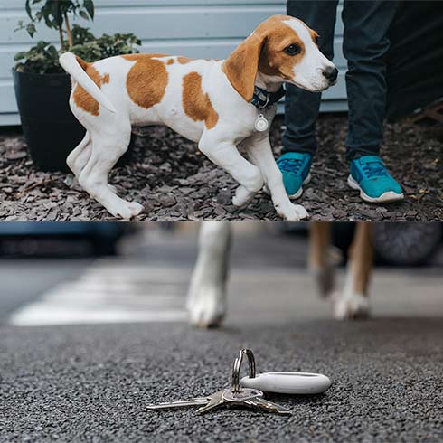 Belkin puzdro Secure Holder with Key Ring pre AirTag - White