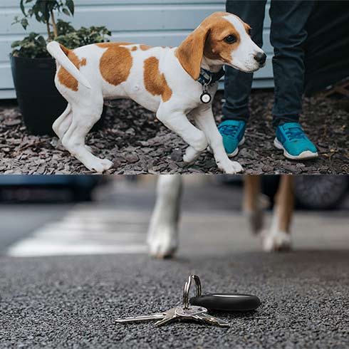 Belkin pouzdro Secure Holder with Key Ring pro AirTag - Black