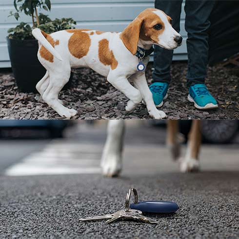 Belkin pouzdro Secure Holder with Key Ring pro AirTag - Pink