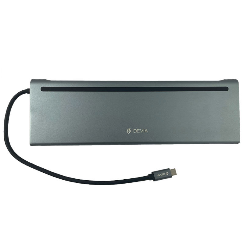 Devia USB-C Hub Leopard řady 11-in-1-Gray