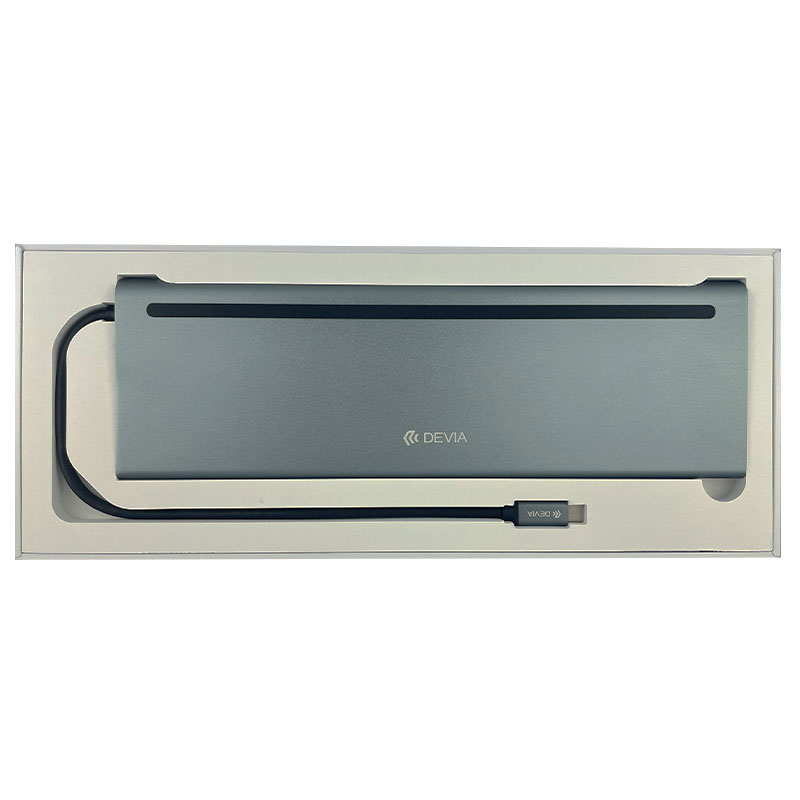 Devia USB-C Hub Leopard řady 11-in-1-Gray