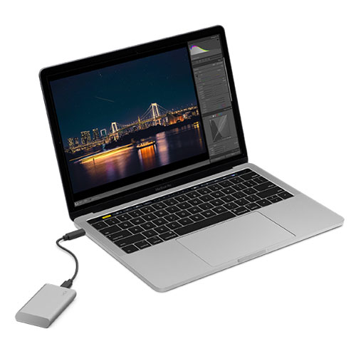 LaCie Portable SSD 500GB USB-C - Moon Silver