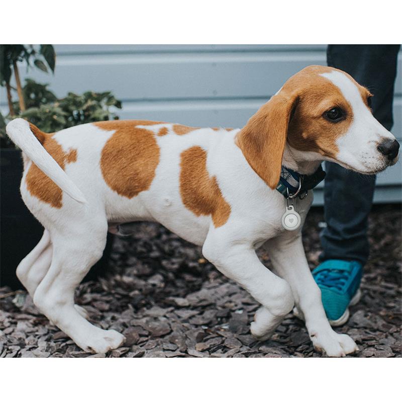 Belkin puzdro Secure Holder with Key Ring pre AirTag 2-pack - Black/White