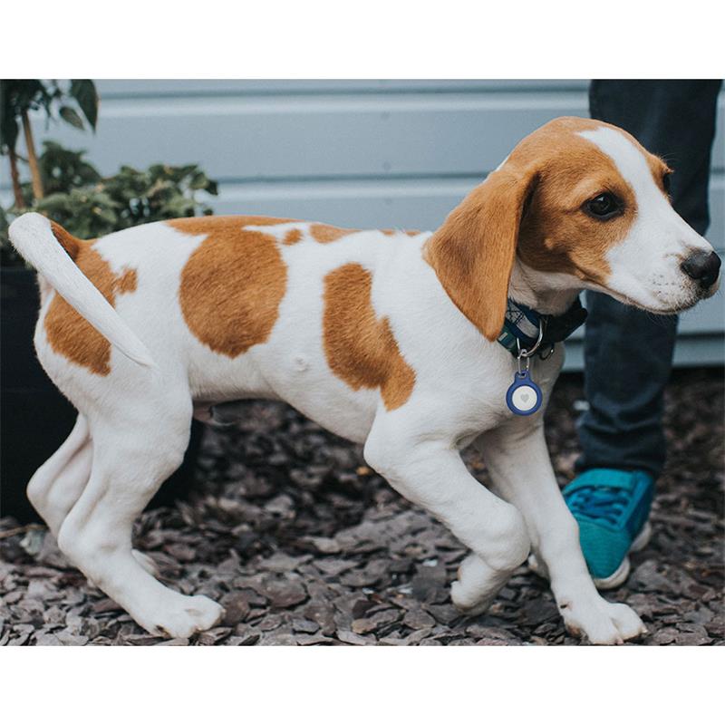 Belkin puzdro Secure Holder with Key Ring pre AirTag 2-pack - Blue