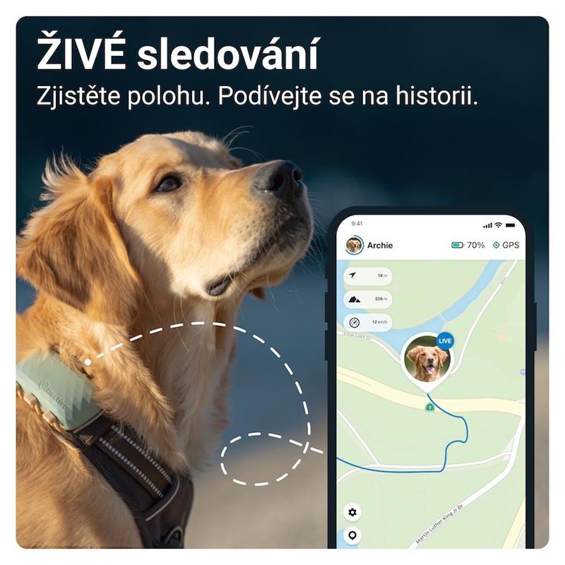 Tractive GPS DOG XL pro sledování polohy a aktivity, zelený