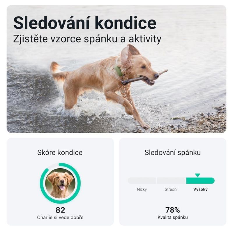 Tractive GPS DOG XL pro sledování polohy a aktivity, zelený