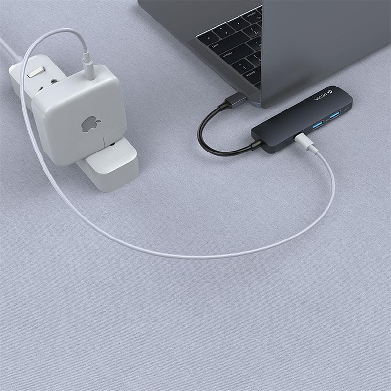Devia USB-C Hub Leopard Series 4 in 1 - Gray
