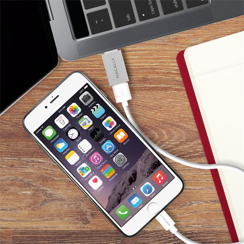 Macally USB-C to USB-A adaptér 2pack - Silver Aluminium