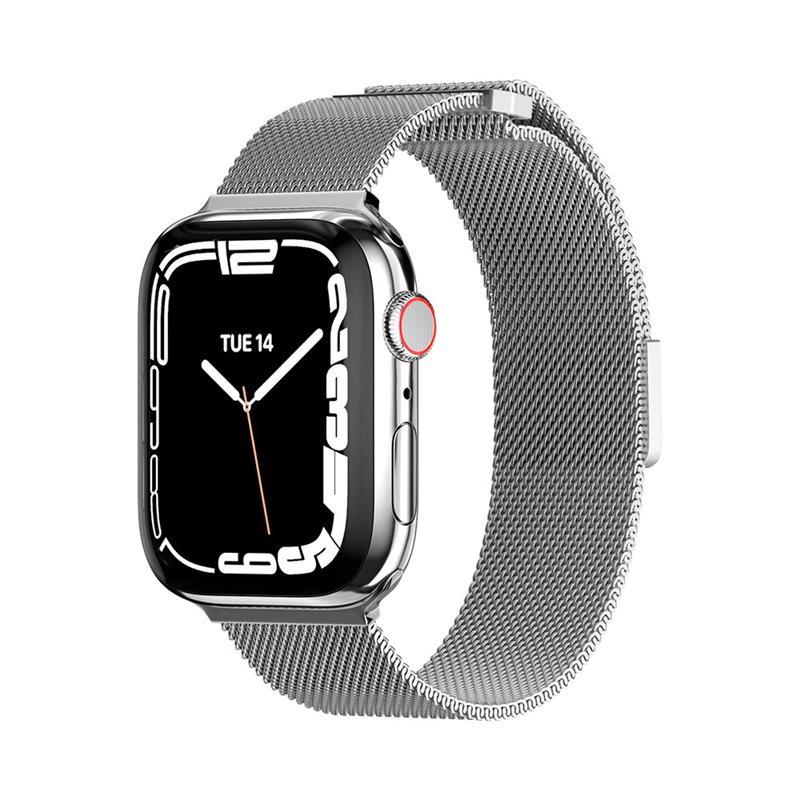 SwitchEasy remienok Mesh Stainless Steel pre Apple Watch 40/41/42mm - Silver