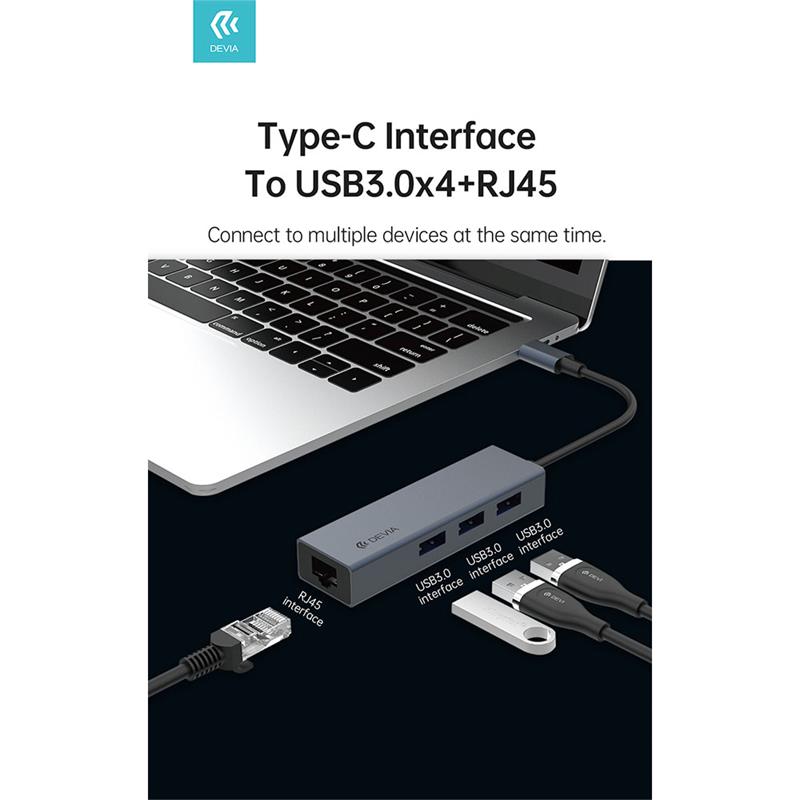Devia USB-C Hub Leopard Series RJ45/USB 3.1 - Deep Gray