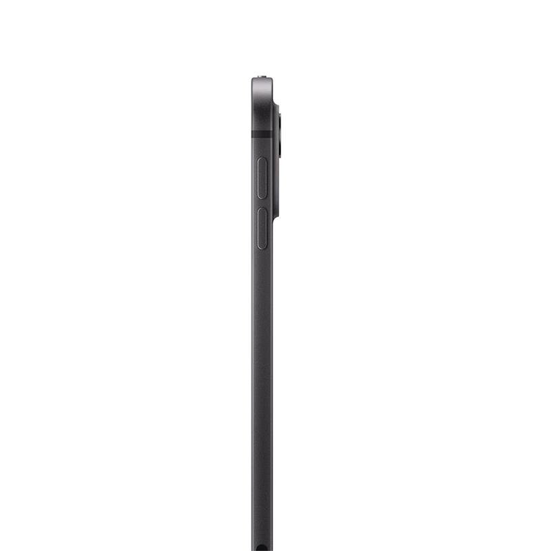 iPad Pro 11" Wi-Fi + Cellular 1TB Vesmírně černý (2024)