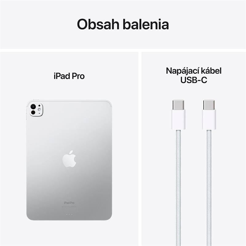 iPad Pro 11" Wi-Fi + Cellular 2TB Stříbrný (2024)