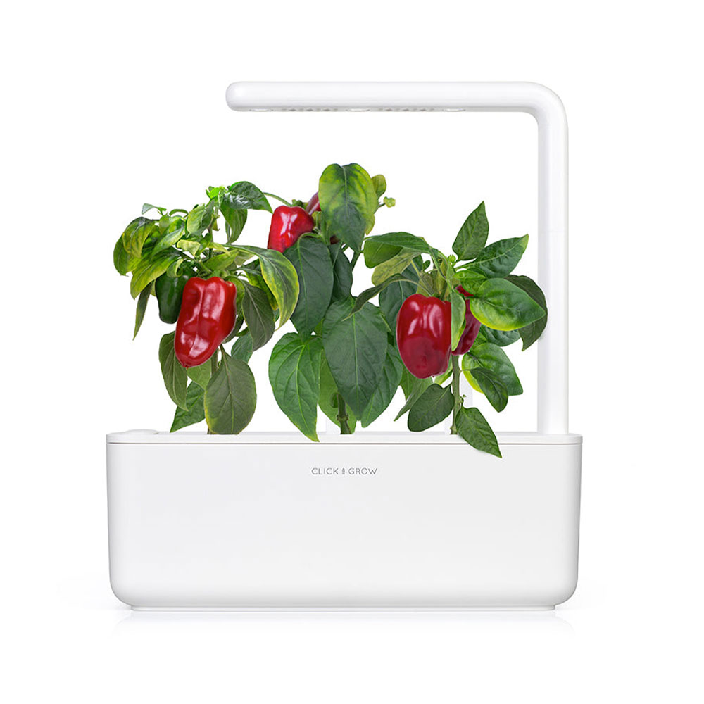 Smart Garden Červená paprika, sladká