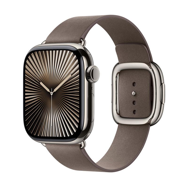 Apple Watch 42mm Dark Taupe Modern Buckle - Medium