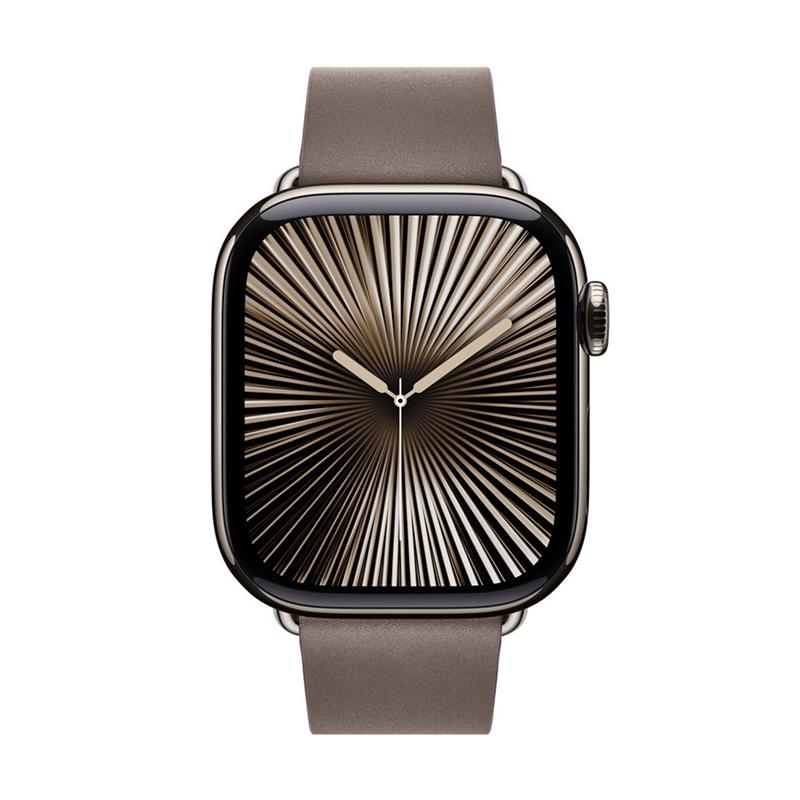 Apple Watch 42mm Dark Taupe Modern Buckle - Large