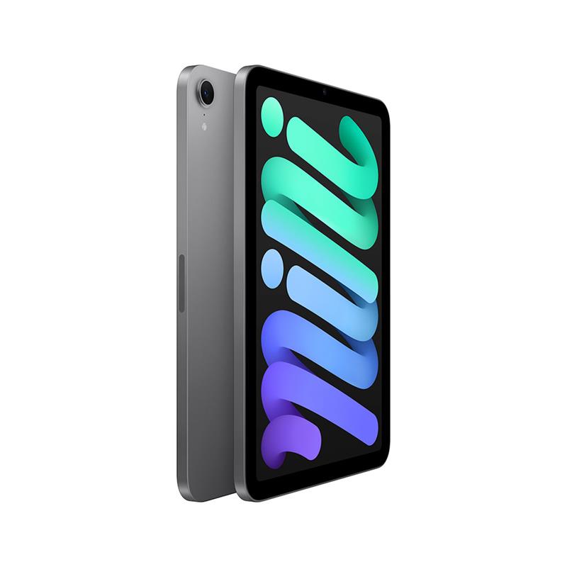 iPad mini Wi-Fi 128GB Kozmický sivý (2024)
