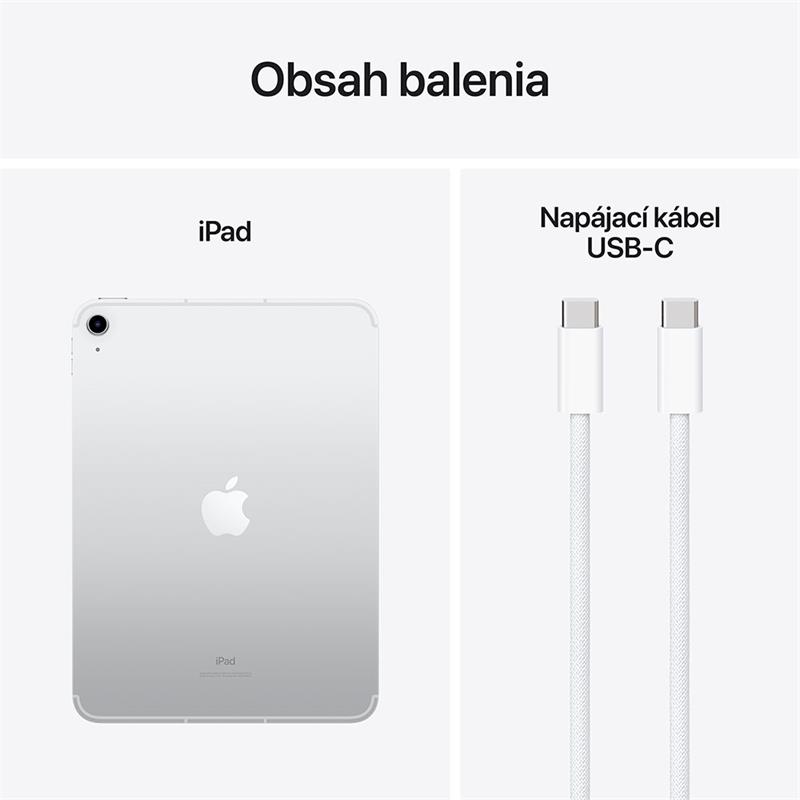 iPad 10.9" Wi-Fi + Cellular 256GB Stříbrný (10. gen.)