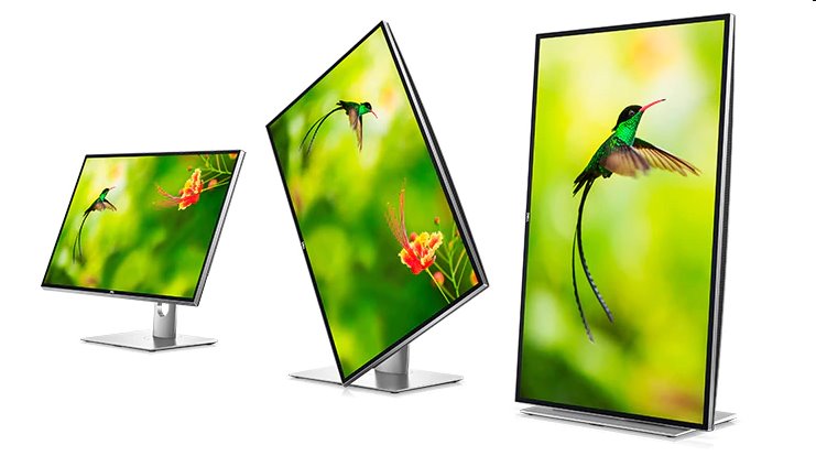 DELL UP3218KA, 31,5", IPS, W-LED, Pivot, 7680 x 4320, 16:9, 6ms, 1300:1, 400cd, 2xDP, USB 3.0, 3Yr