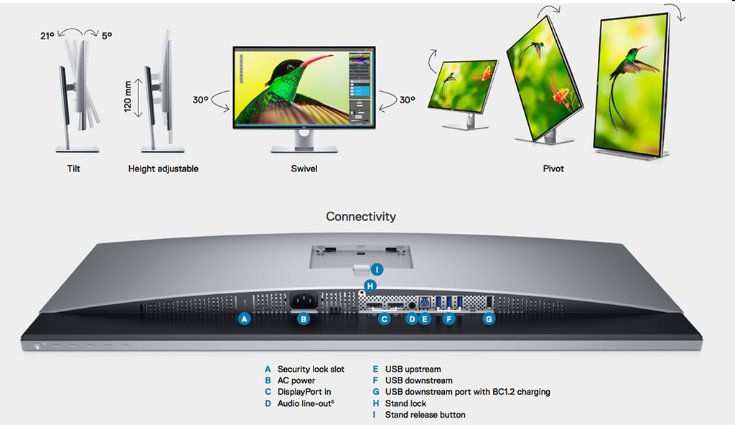 DELL UP3218KA, 31,5", IPS, W-LED, Pivot, 7680 x 4320, 16:9, 6ms, 1300:1, 400cd, 2xDP, USB 3.0, 3Yr