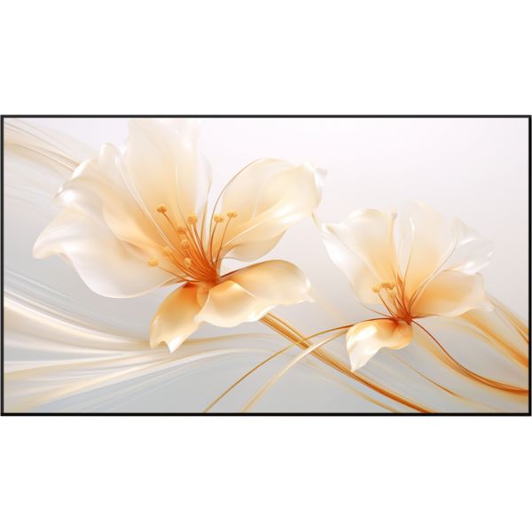 XGIMI 100" UST ALR Screen