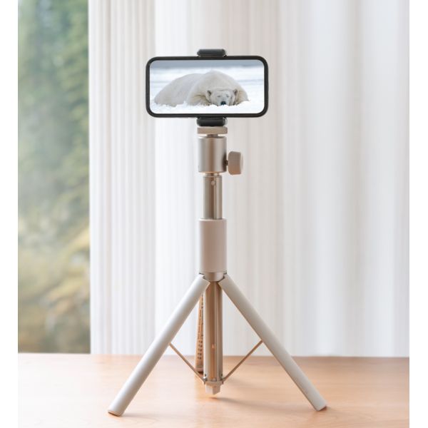 XGIMI Light Gold Portable Stand