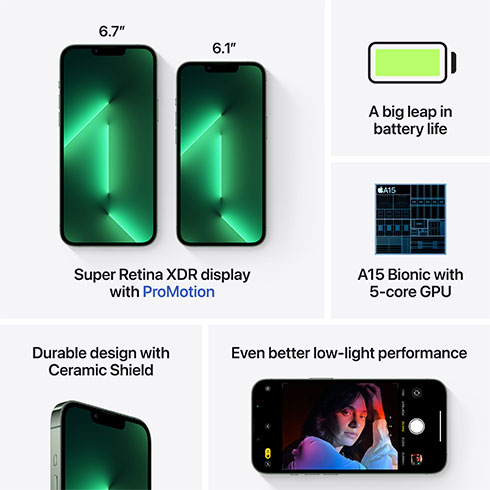 iPhone 13 Pro Max 256 GB Alpsky zelený *Třída A*