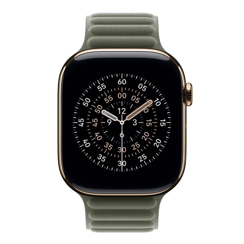 Apple Watch 46mm Sage Gray Magnetic Link - M/L
