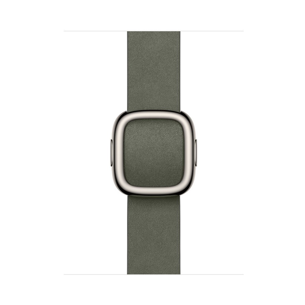 Apple Watch 42mm Sage Gray Modern Buckle - Small
