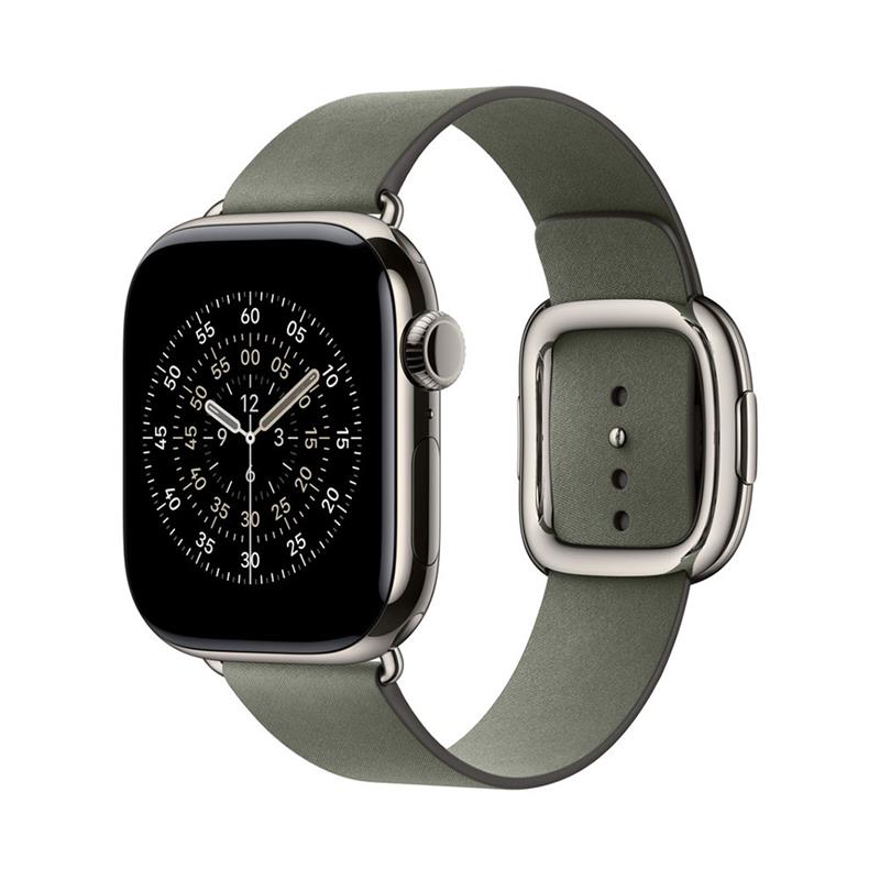 Apple Watch 42mm Sage Gray Modern Buckle - Small