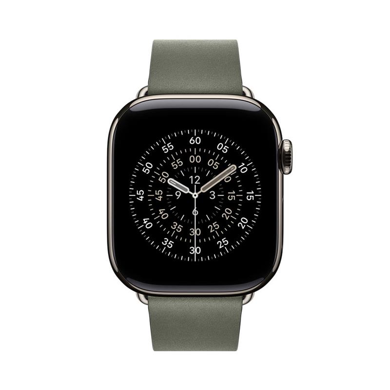Apple Watch 42mm Sage Gray Modern Buckle - Large