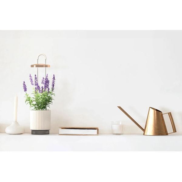 Smart Garden 1 Hydrovase, biela