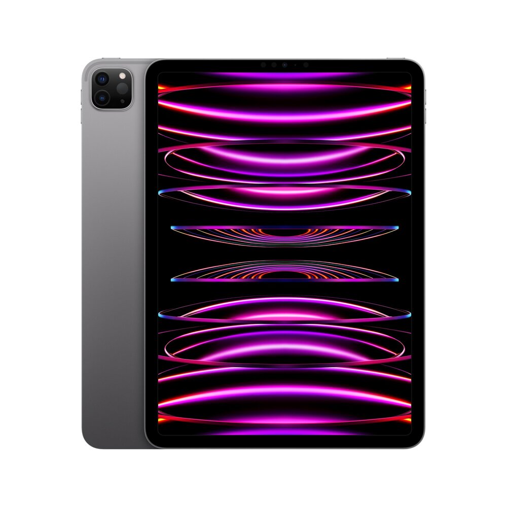 iPad Pro 11" (2022) Wi-Fi + Cellular 256 GB kozmická sivá *Použitý s DPH - Trieda A*