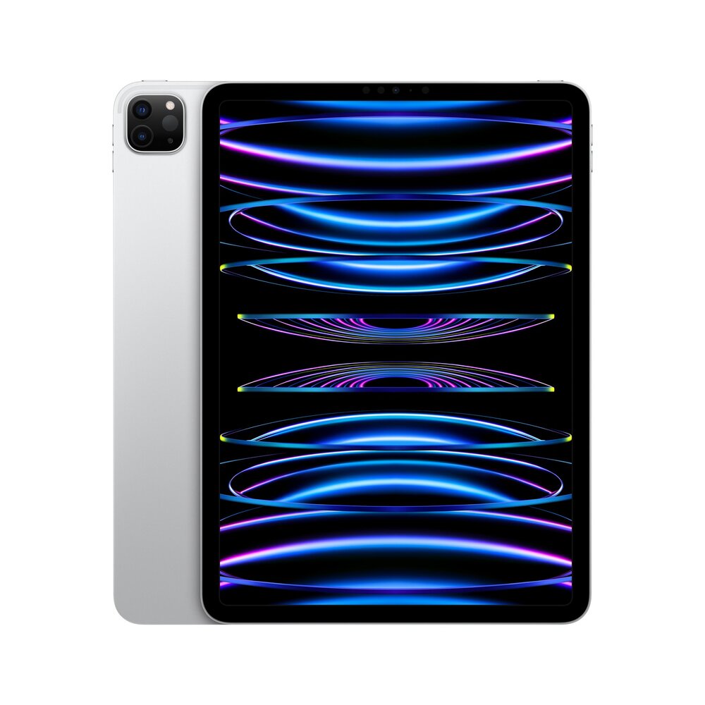 iPad Pro 11" Wi-Fi + Cellular 256 GB Stříbrný (2022) *Použitý s DPH – Třída C*