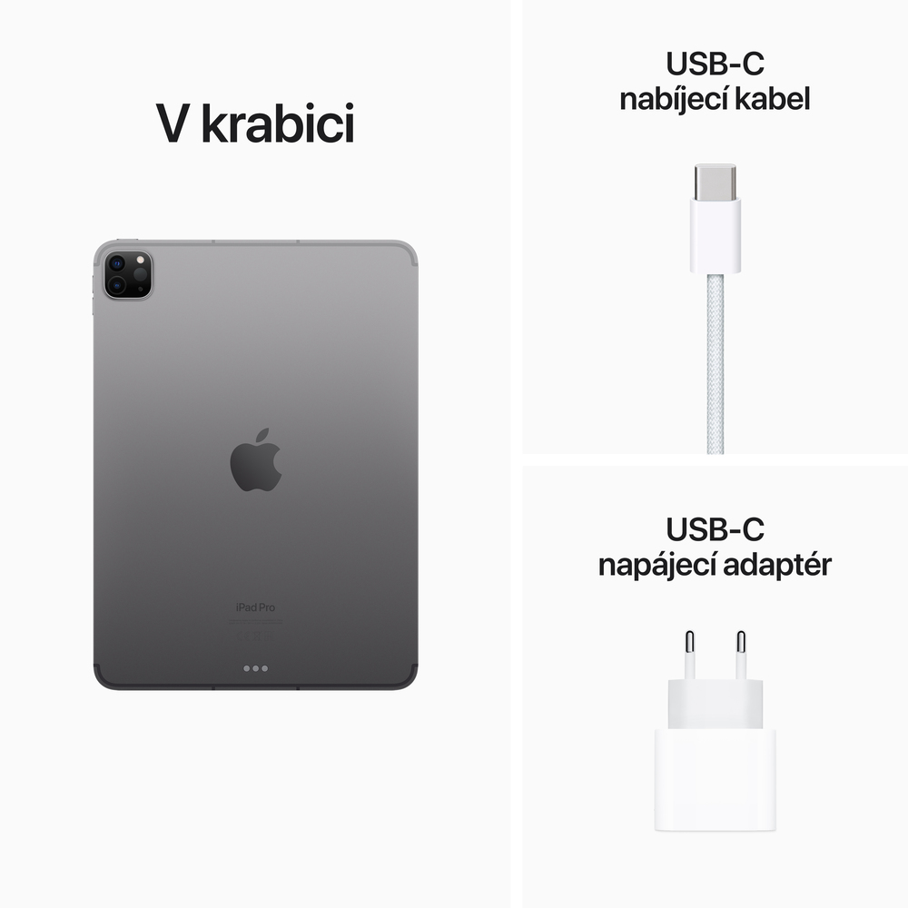 iPad Pro 11" Wi-Fi + Cellular 1TB Vesmírně šedý (2022)