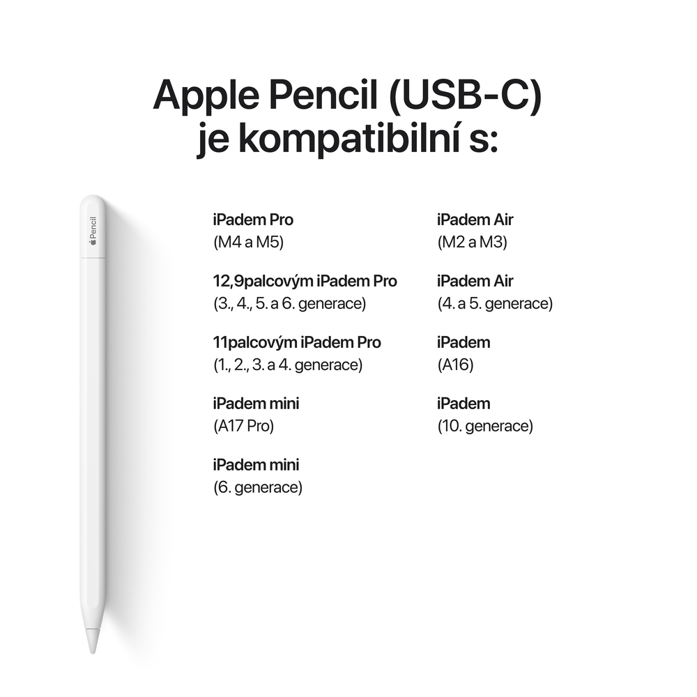 Apple Pencil (USB-C)