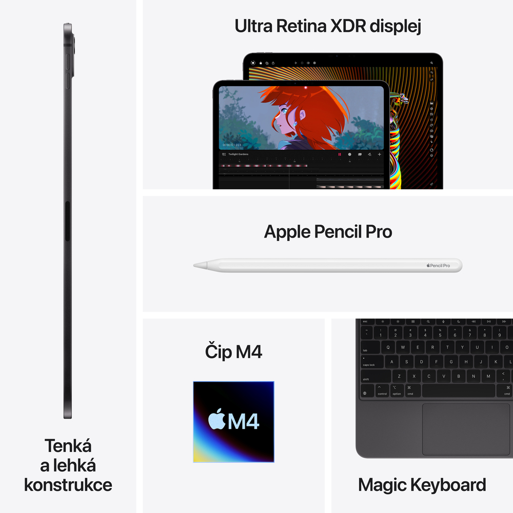 iPad Pro 11" Wi-Fi 1TB Stříbrný (2024)