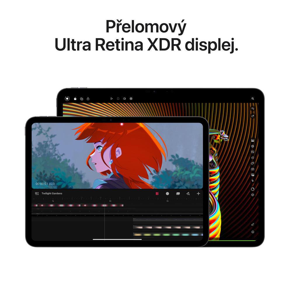 iPad Pro 11" Wi-Fi 1TB Stříbrný (2024)