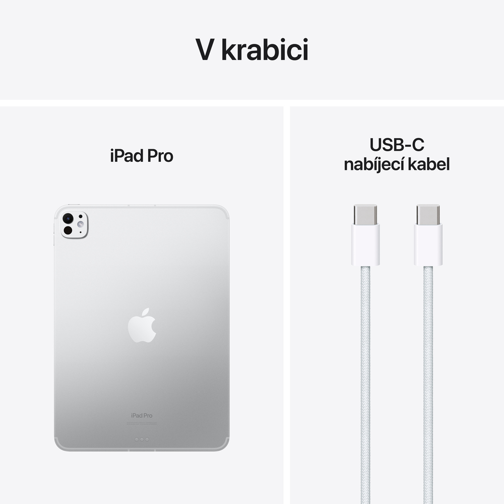 iPad Pro 11" Wi-Fi + Cellular 512GB Stříbrný (2024)