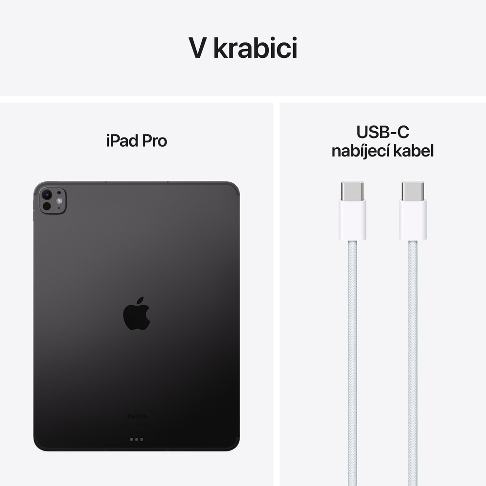 iPad Pro 13" Wi-Fi + Cellular 1TB Vesmírně černý (2024) - sklo s nanotexturou
