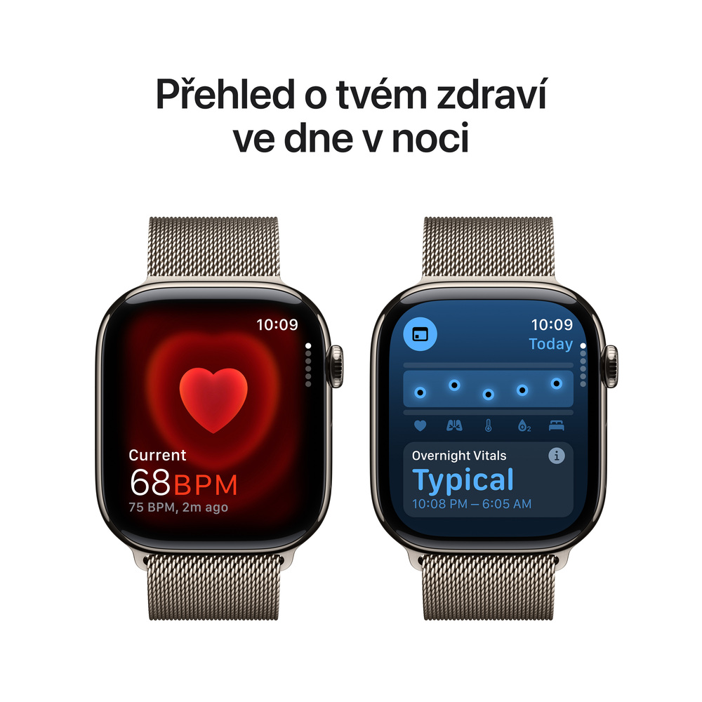 Apple Watch Series 10 GPS + Cellular 42mm Natural Titanium Case with Natural Milanese Loop
